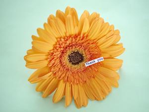 防犯カメラセットを安く販売する専門会社